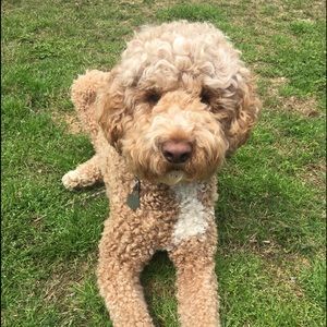 Meet your Posher, Sherri